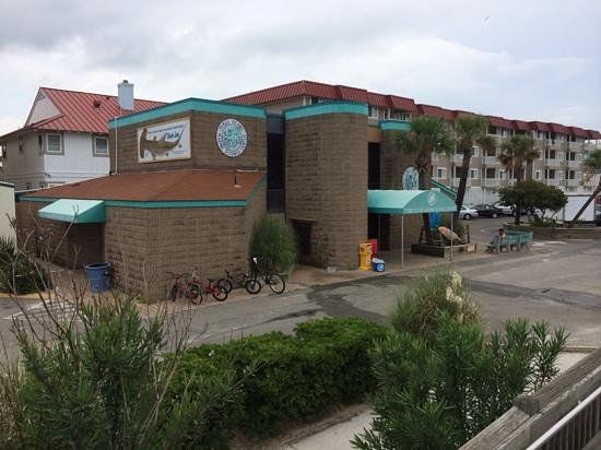 Tybee Island Marine Science Center